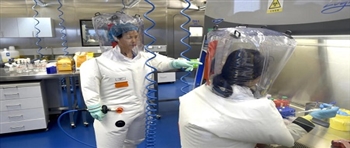 科学家警告说,在中国发现的新病毒距离引发大流行病“只有一小步” 科学家警告说,在中国发现的新病毒距离引发大流行病“只有一小步”