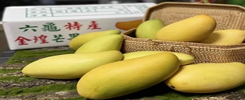 中国宣布即日起禁止「进口台湾芒果」声称检出有害生物