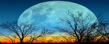 本周出现的“蓝色超级月亮”将是 2023 年最大、最亮的月亮
