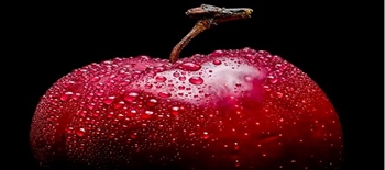 在咬一口苹果之前，你应该去掉苹果上的蜡涂层吗？