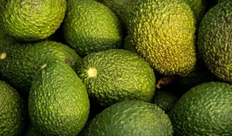 千禧世代热爱的水果 专家:它不会让人发胖 千禧世代热爱的水果 专家:它不会让人发胖