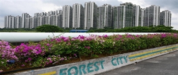 马来西亚森林城市因中国房地产巨头的困境而摇摇欲坠