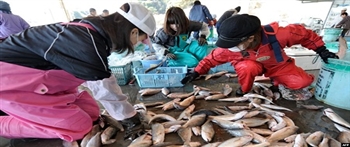 日本加大对受中国禁令打击的海产品出口商的援助