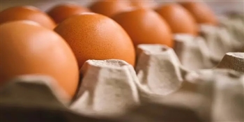 对眼睛也好 每天吃两颗鸡蛋 可降低疲劳及罹癌风险
