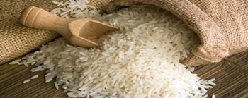 米饭、土豆与意面:哪种对血糖更好? 米饭、土豆与意面:哪种对血糖更好?
